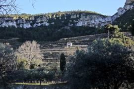 Terroir de Cassis en hiver © F. Gérard