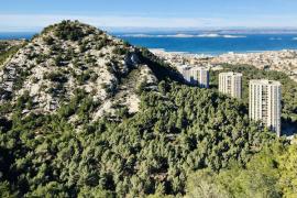 Collines du massif de Marseilleveyre et tours du Roy d'Espagne © A. Zec - Parc national des Calanques