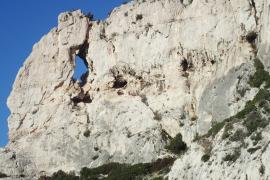 Cliffs © Parc national des Calanques