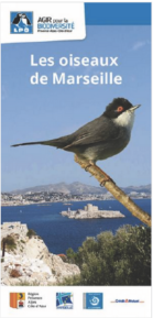 couverture_plaquetteoiseaux.png