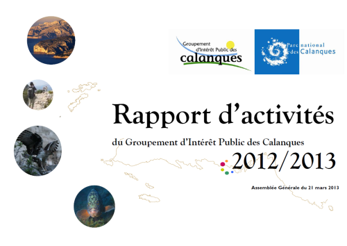 rapport_dactivite_2013.png