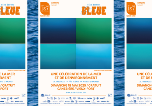Visuel Festival Bleue