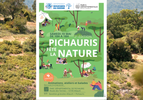 bannière Pichauris
