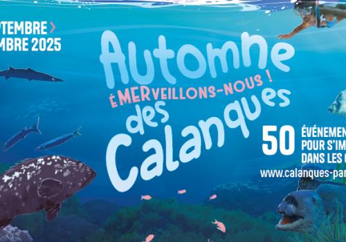 Automne des Calanques