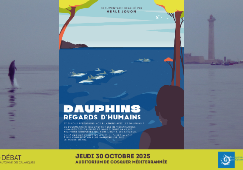 Visuel Dauphins regards d'humains