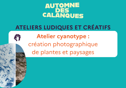 atelier cyanotype