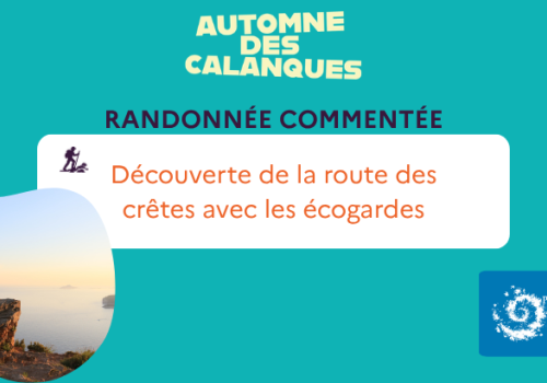 Balade EG route des crêtes