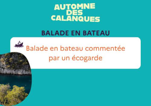 balade en bateau GIE Cassis