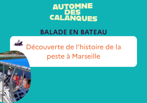 balade en bateau VDM
