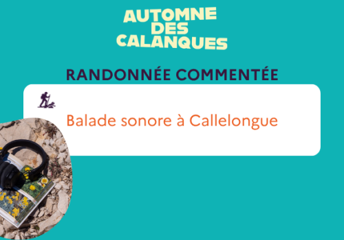 balade sonore DV