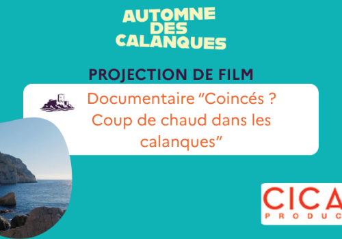 Film Coincés