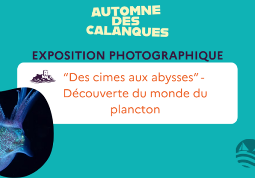 Expo photo WeOcean