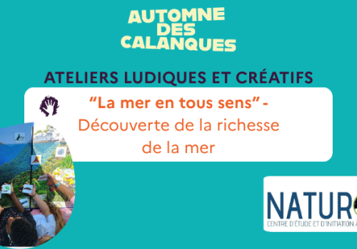 La mer en tous sens