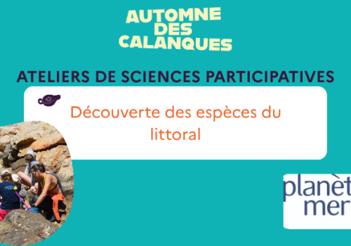 planète mer
