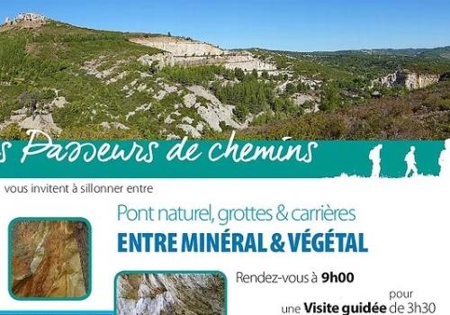 affiche_coupee.jpg