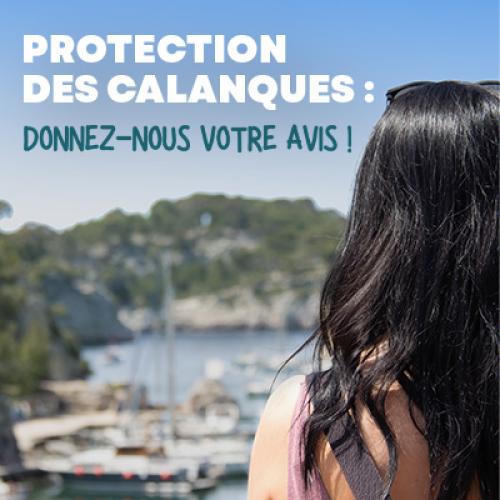 Affiche pour le questionnaire Calanques