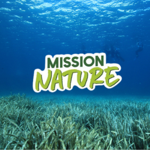 Visuel mission Nature