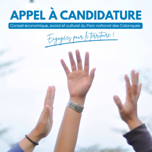 Candidature CESC