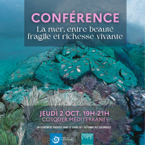 VISUEL CONFérence
