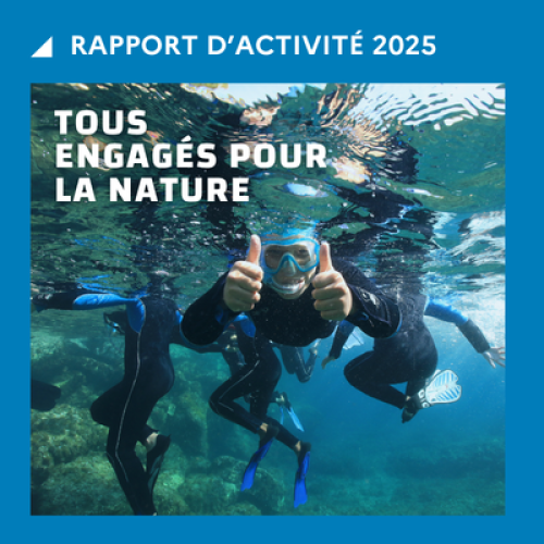 Vignette Rapport d'activité 2025