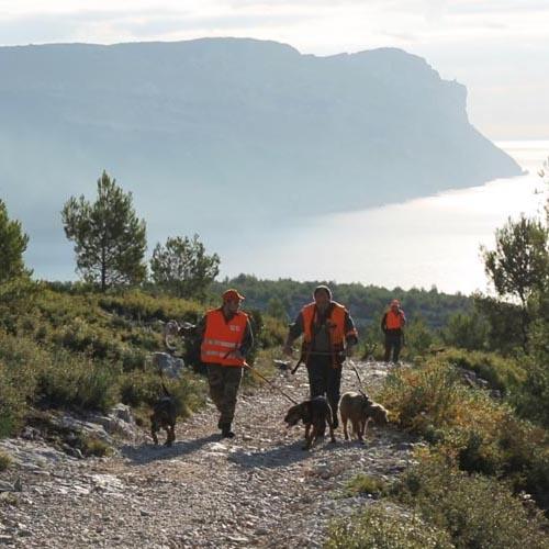 chasse-calanques-carre.jpg