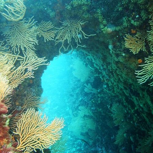 grotte-sous-marine-calanques-marseille-cassis-la-ciotat.jpg