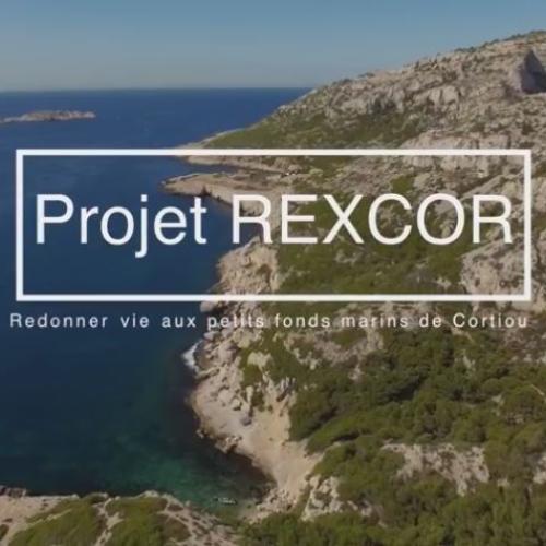 Projet REXCOR
