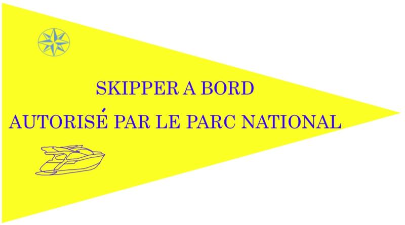 pavillon-jaune-skipper-parc-national-calanques-2.jpg