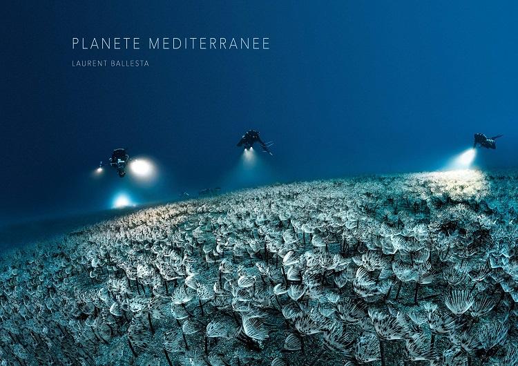 planete-mediterranee.jpg