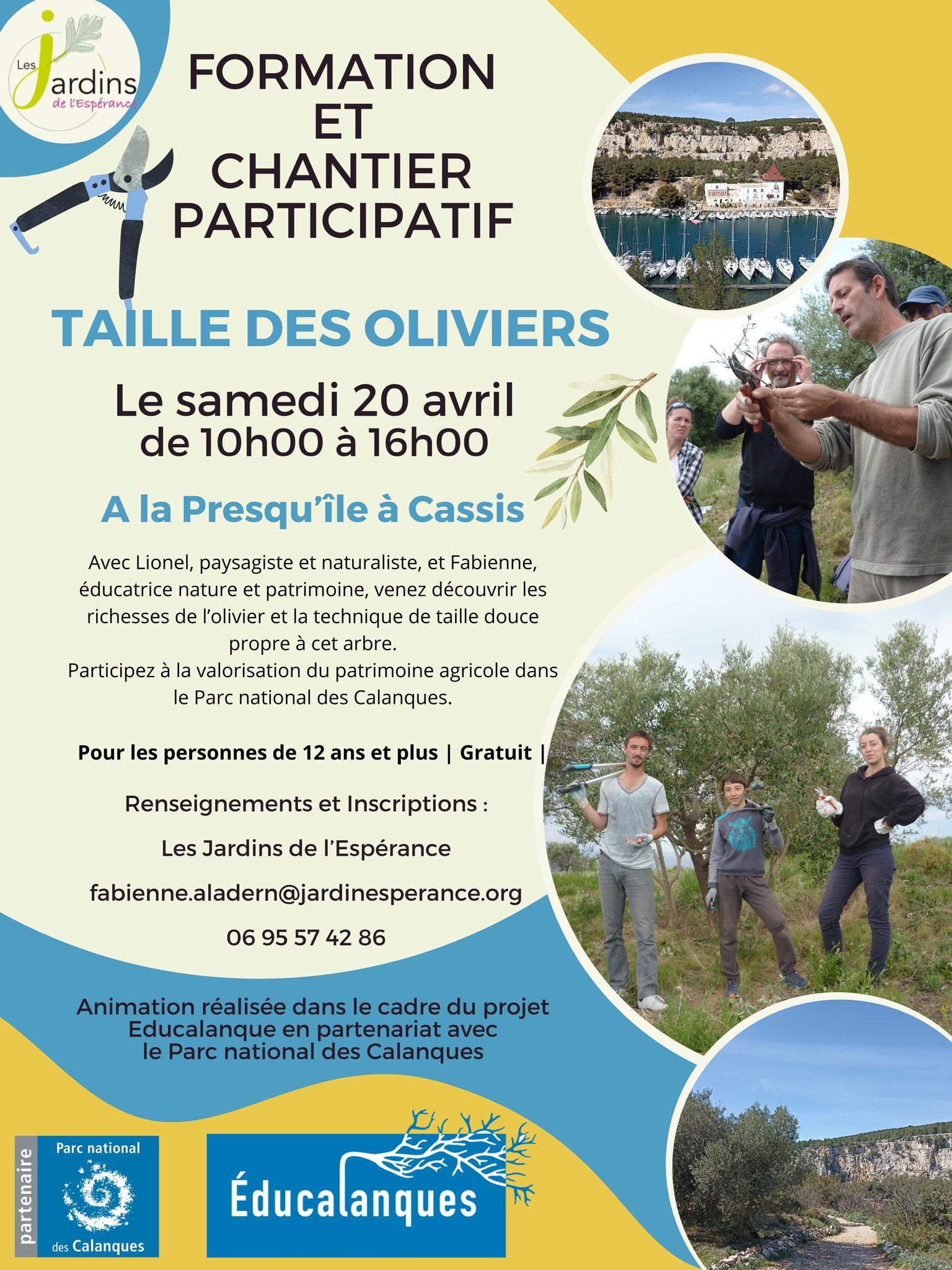 Flyer taille des Oliviers