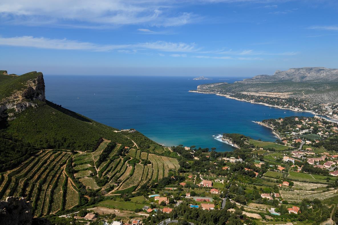 Restanques à Cassis © Olivier Ferreira