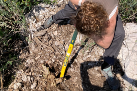 Sur un site en forte pente, l'arrachage est particuli&egrave;rement physique