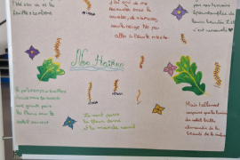 Haikus rédigés par des élèves