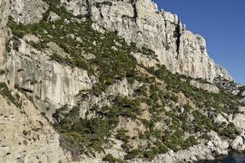 4-calanque-pierres-tombees-prichaud.jpg