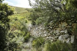 5-massif-saint-cyr-calanques-marseille-restanque_vallon_de_la_vigie_cmegane_chene.jpg