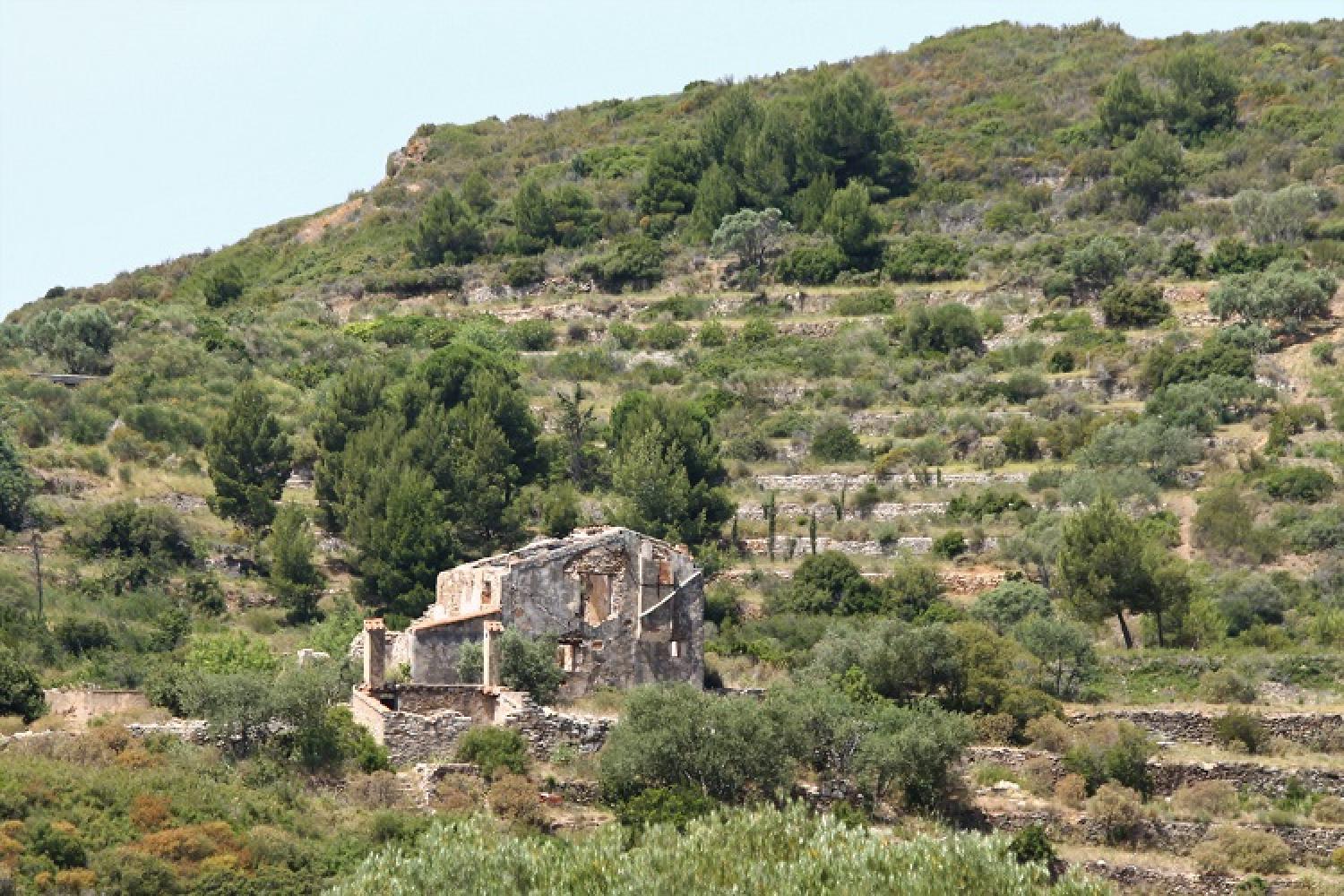 1_vue_sur_la_ruine_de_la_villa_speany_et_ses_restanques_2014_cpncal.jpg