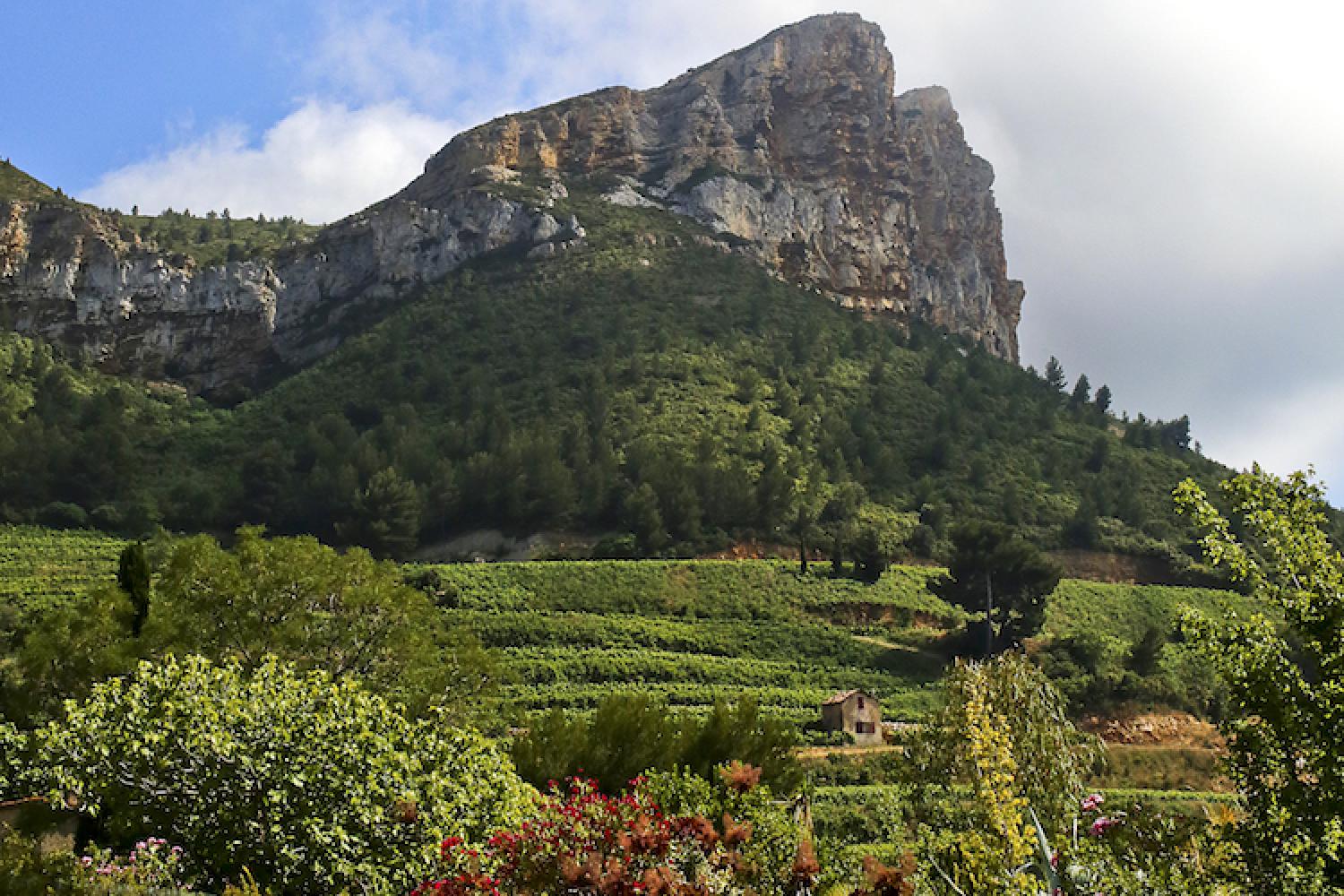 2-calanques_2_ete-488_c_franck_gerard_-_terroir_de_cassis.jpg