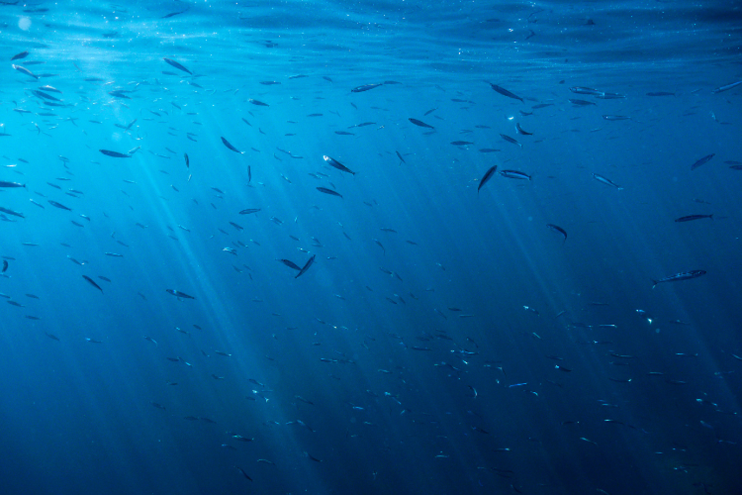 Colonne d'eau © Florian Launette
