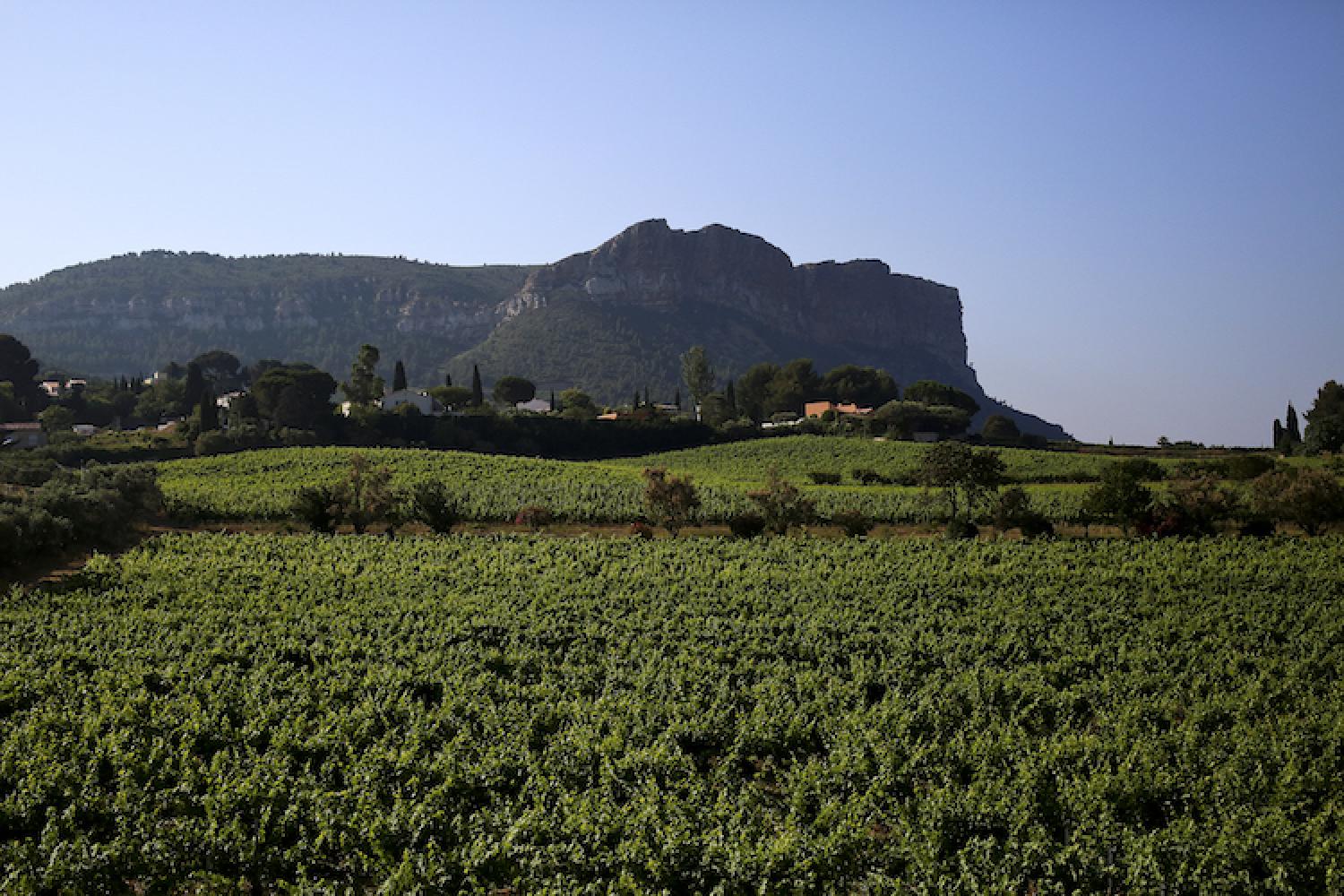 3-calanques_2_ete-86_c_franck_gerard_-_terroir_de_cassis.jpg