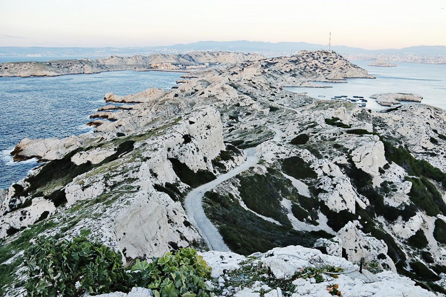 3-frioul-c-bellanger-pncal-parc-national-calanques-marseille-cassis-la-ciotat.jpg