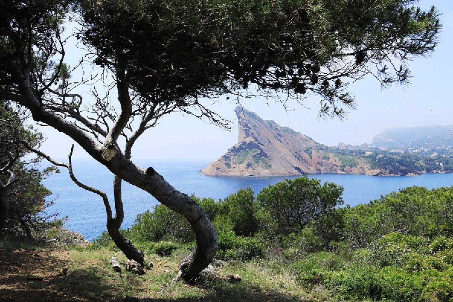 3-la-ciotat-c-bellanger-pncal-parc-national-calanques-marseille-cassis-la-ciotat.jpg