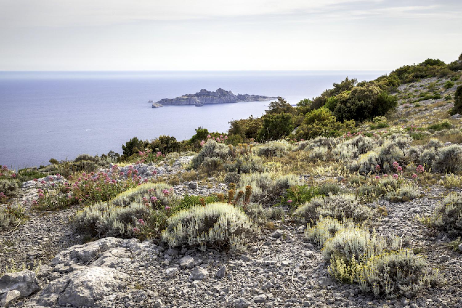 3-mont_puget_riou-calanques_maxime_berenger.jpg