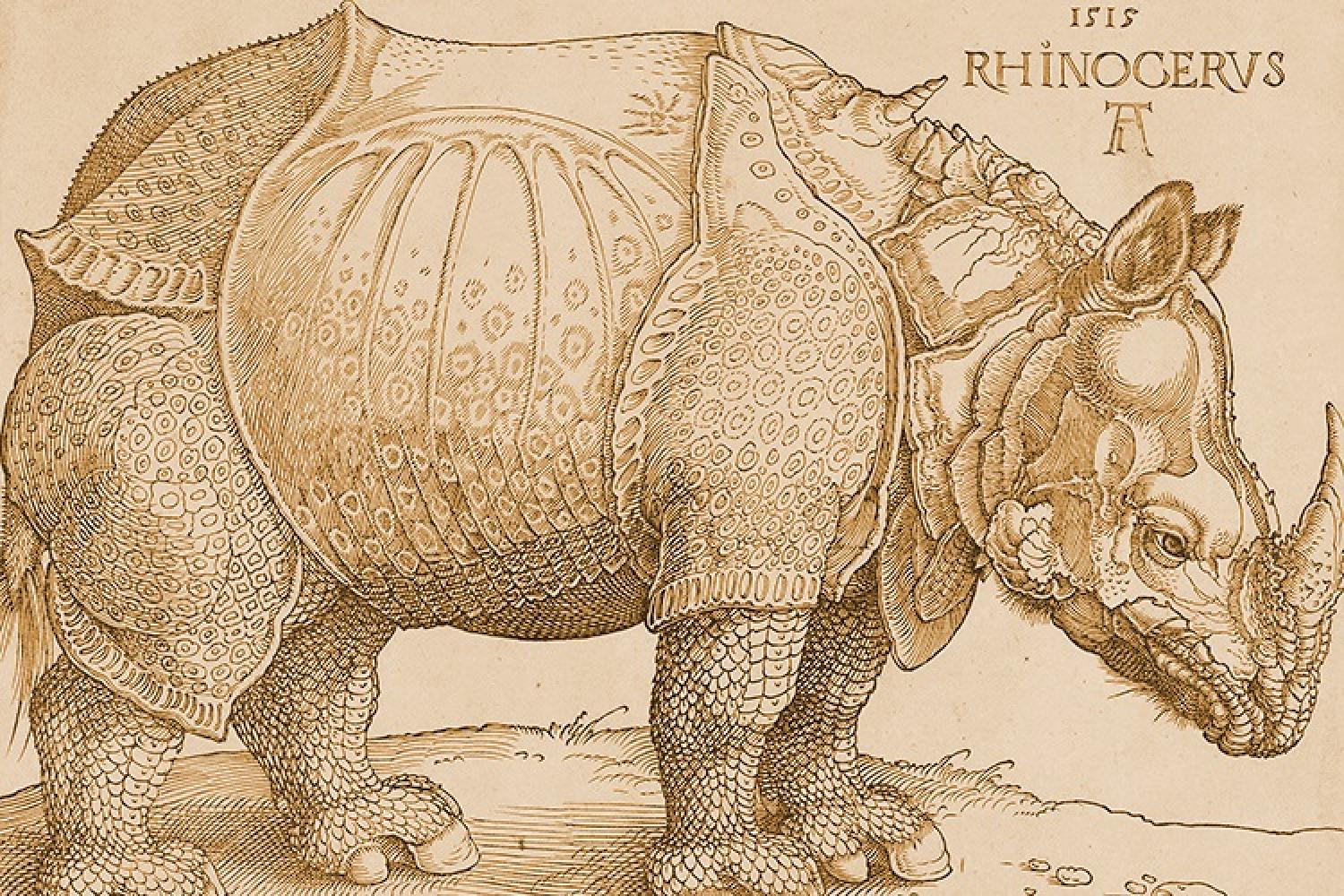 durer-rhinoceros.jpg