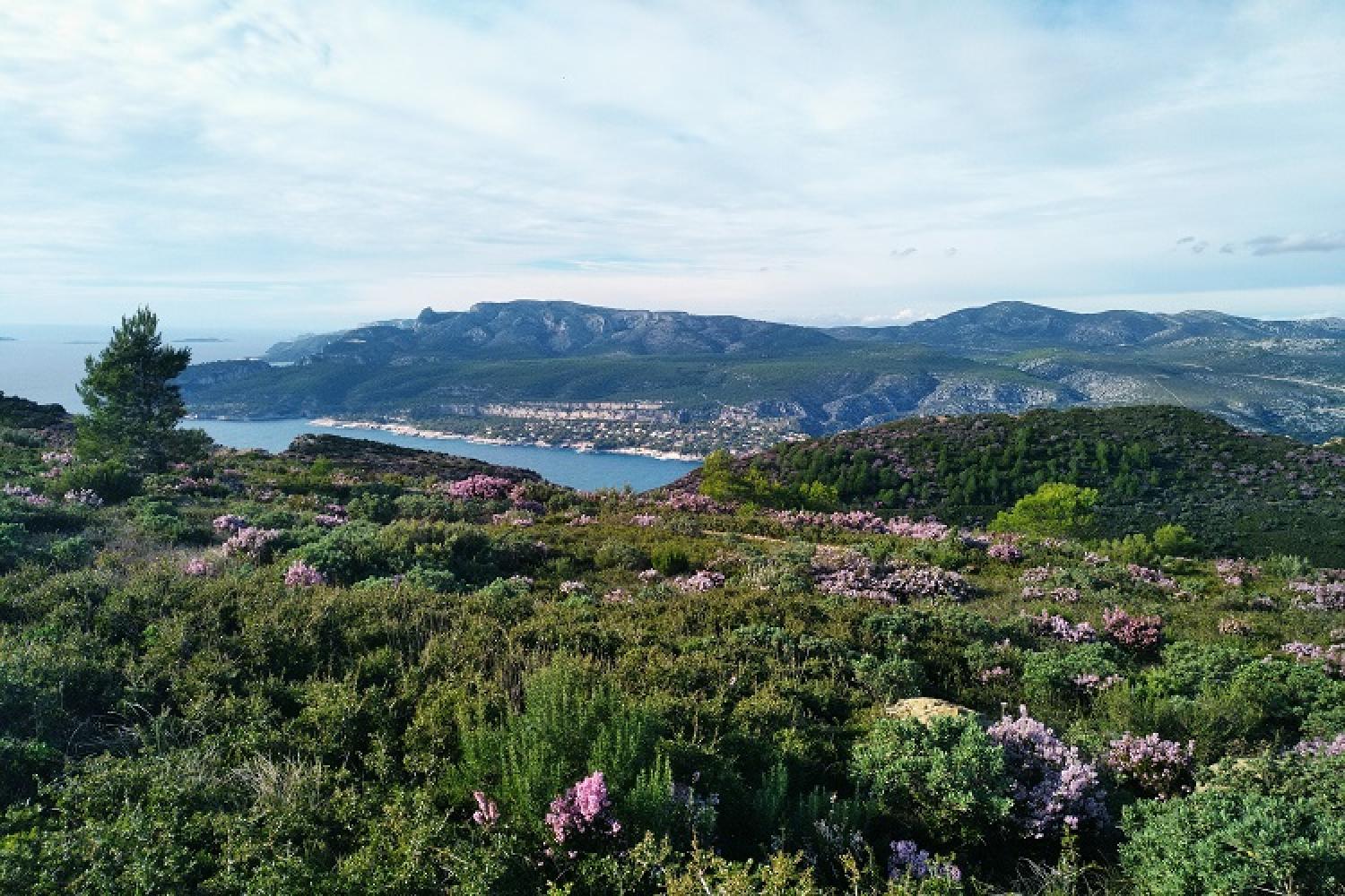 route_des_cretes_bruyeres_01-bastien-nouar_-_copie.jpg