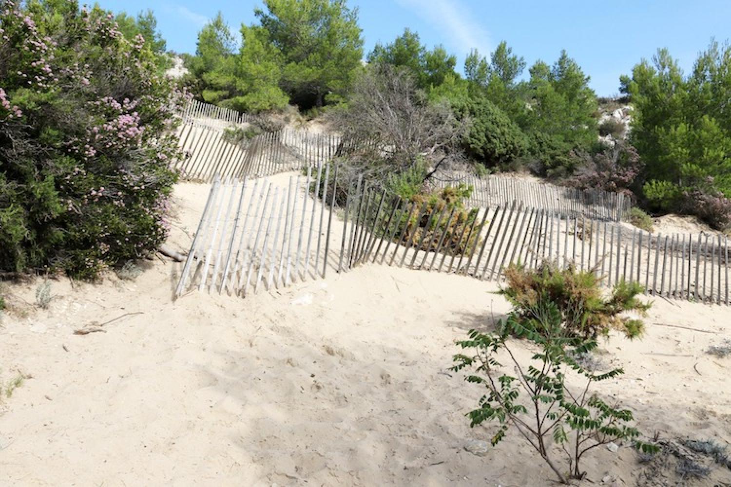 sabliere_danjarre_c_parc_national_des_calanques.jpg