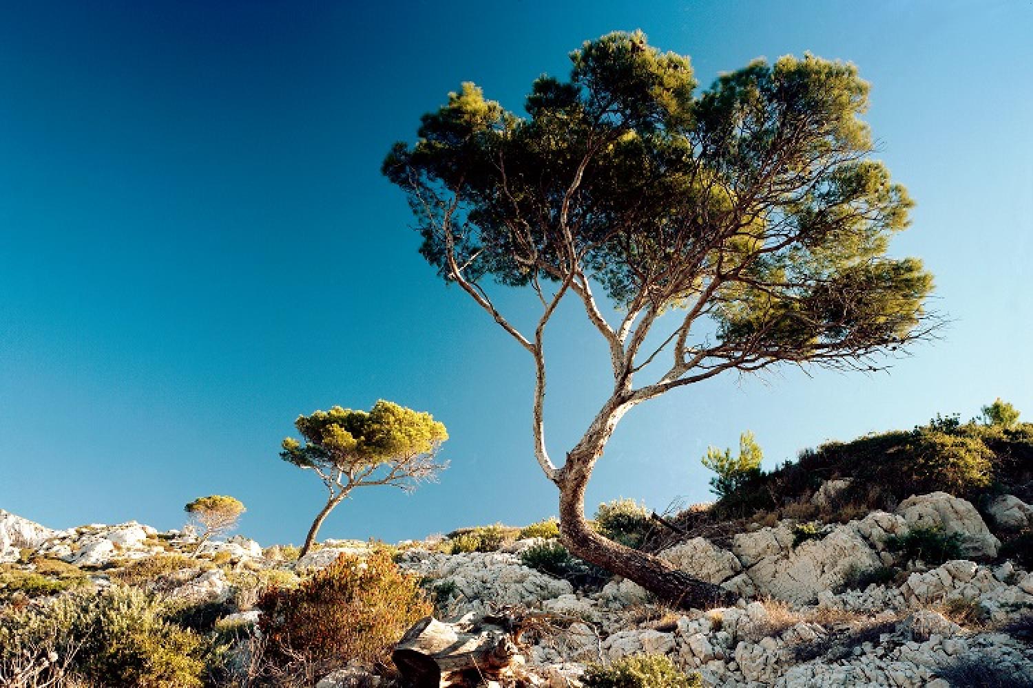 sormiou_prichaud-parc-national-calanques-marseille-cassis-la-ciotat.jpg