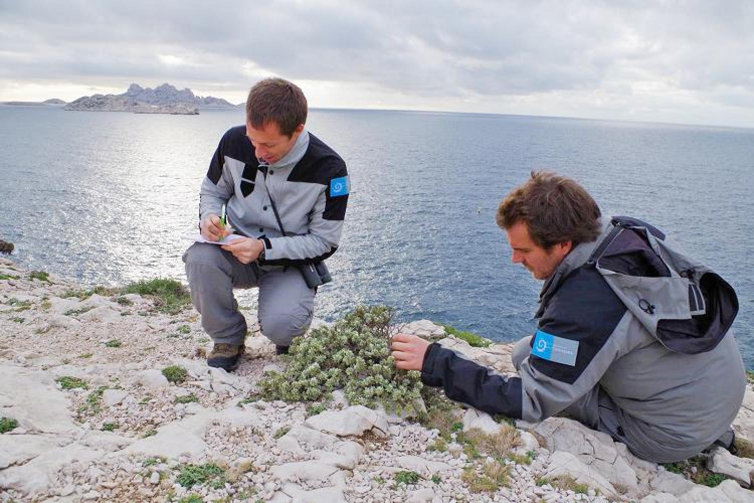 surveiller-proteger-sloa-pncal-parc-national-calanques-marseille-cassis-la-ciotat.jpg