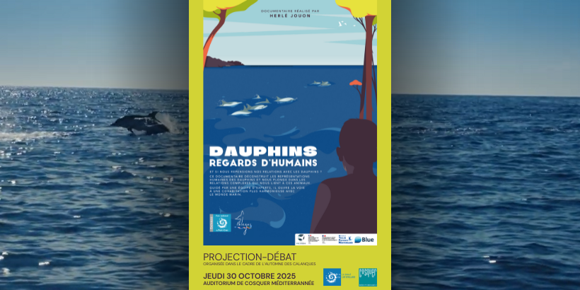 Visuel Projection Dauphins, regards d'humains