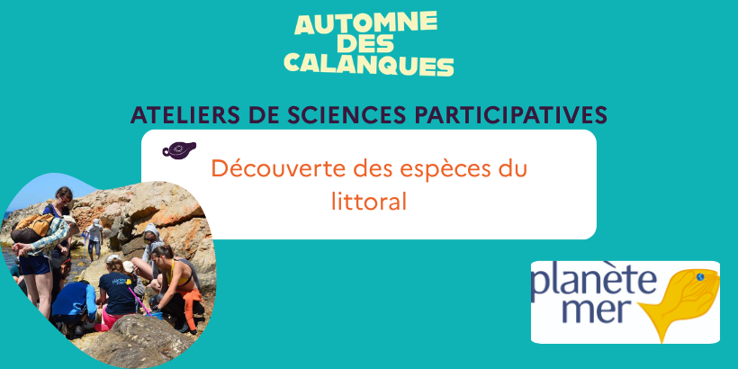 planète mer