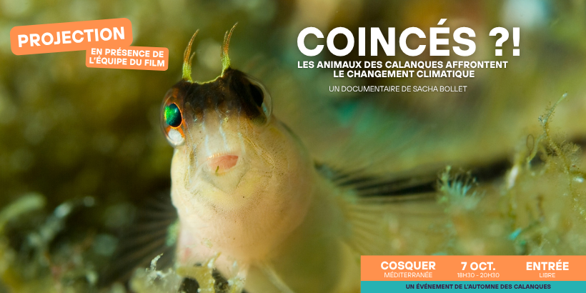 Visuel coincés